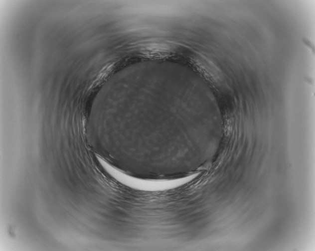 X0000098131108200805080952