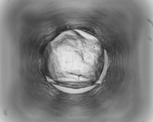 X0000098131109200805080952