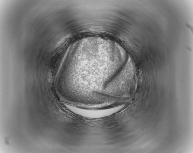 X0000098131110200805080952