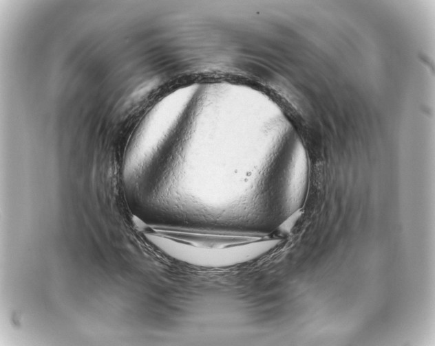 X0000098131111200805080952