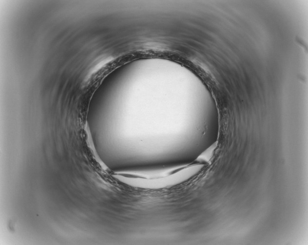 X0000098131112200805080952
