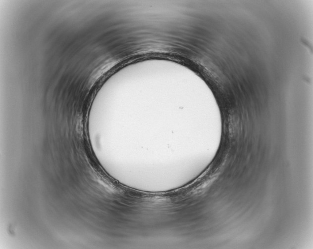 X0000098131113200805080952