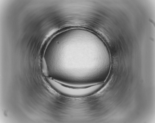 X0000098131114200805080952