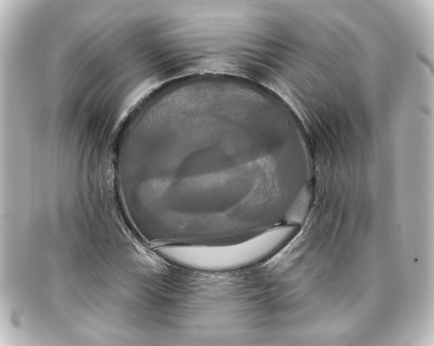 X0000098131115200805080952