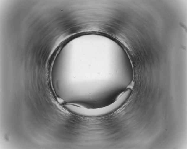 X0000098131116200805080952