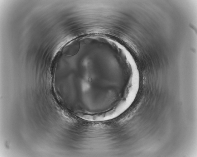X0000098131117200805080952