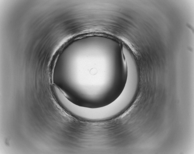 X0000098131118200805080952