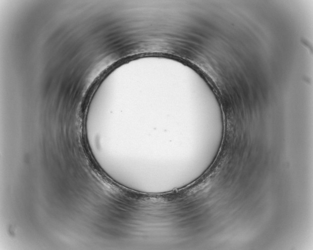 X0000098131119200805080952