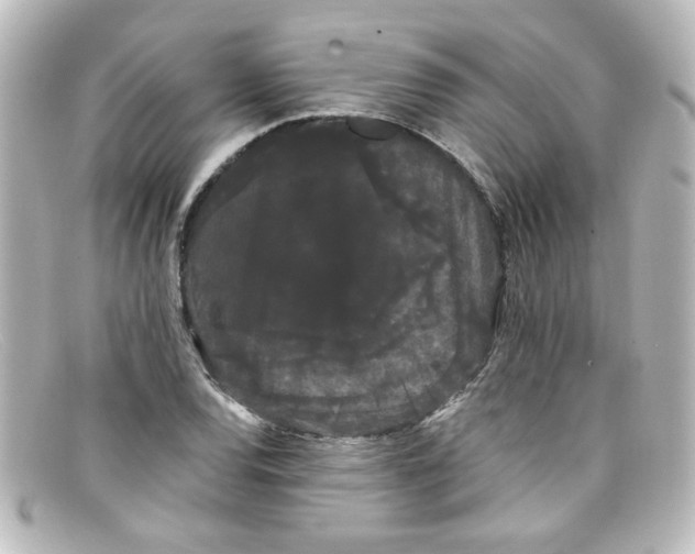 X0000098131120200805080952