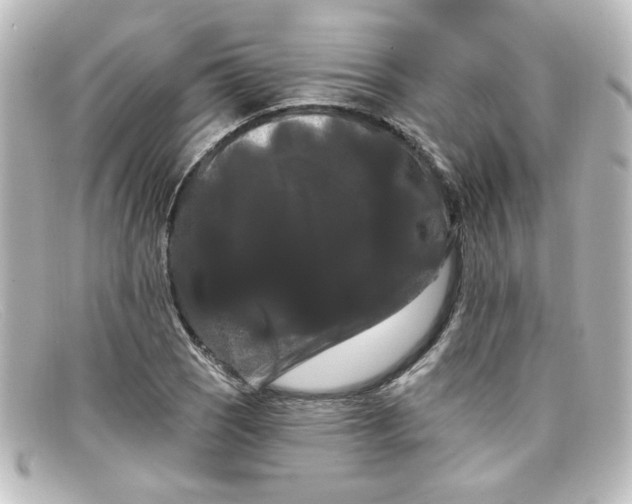 X0000098131121200805080953