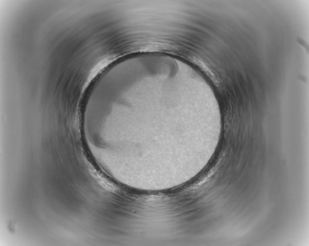 X0000098131122200805080953