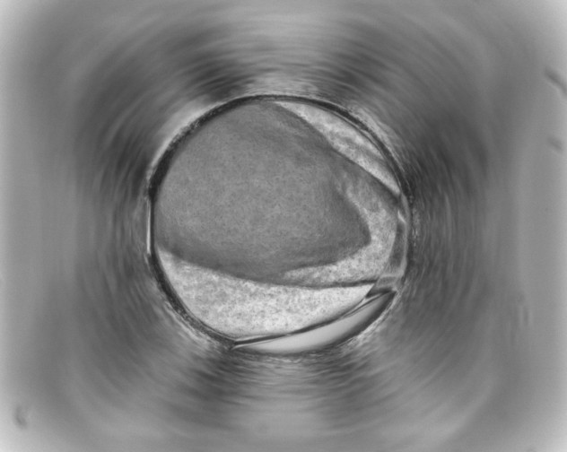 X0000098131123200805080953