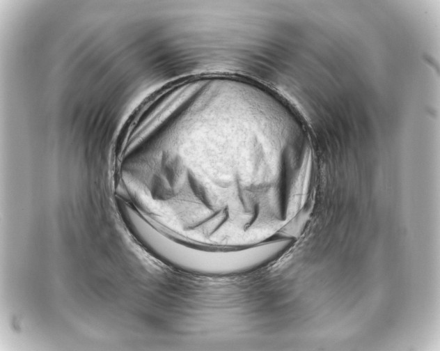 X0000098131124200805080953