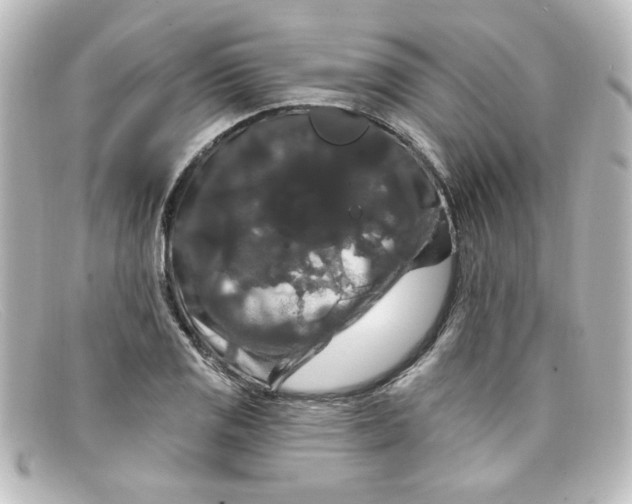 X0000098131125200805080953