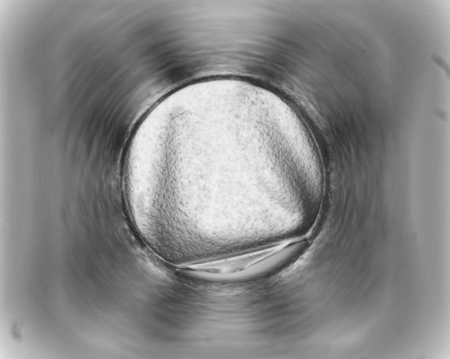 X0000098131129200805080953