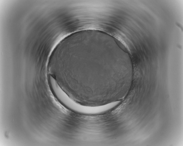 X0000098131132200805080953