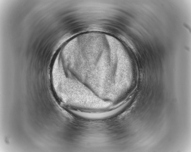 X0000098131133200805080953
