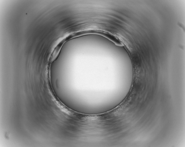 X0000098131134200805080953