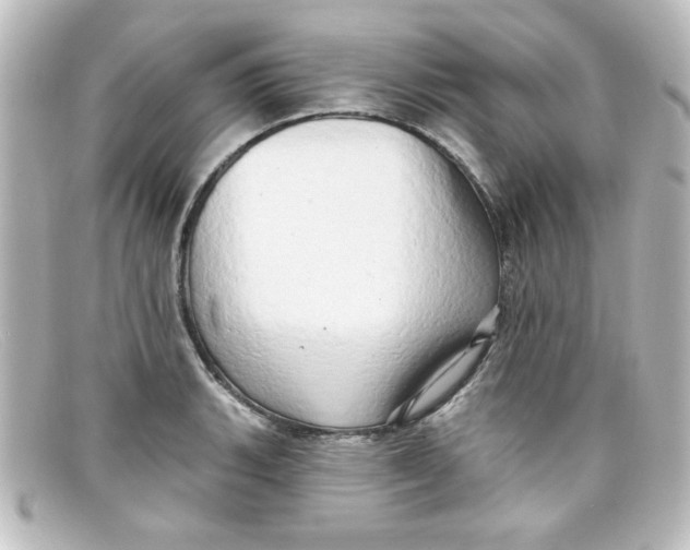 X0000098131135200805080953