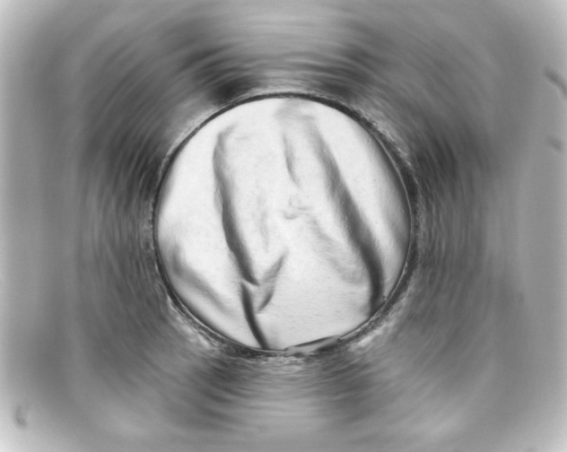 X0000098131137200805080953