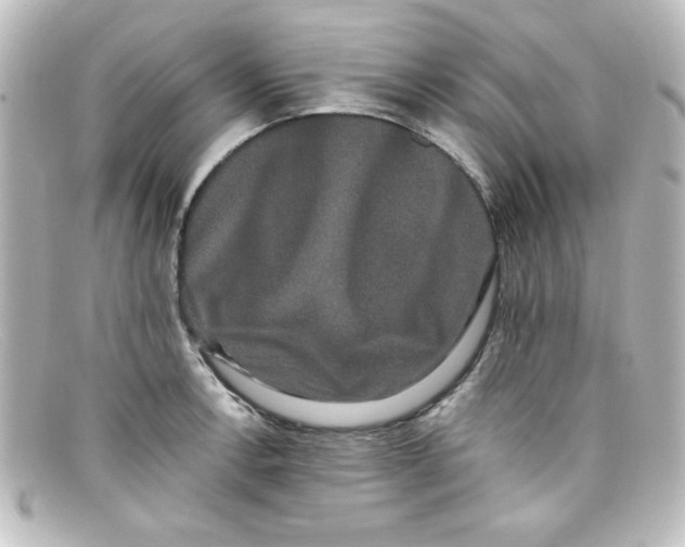 X0000098131138200805080953