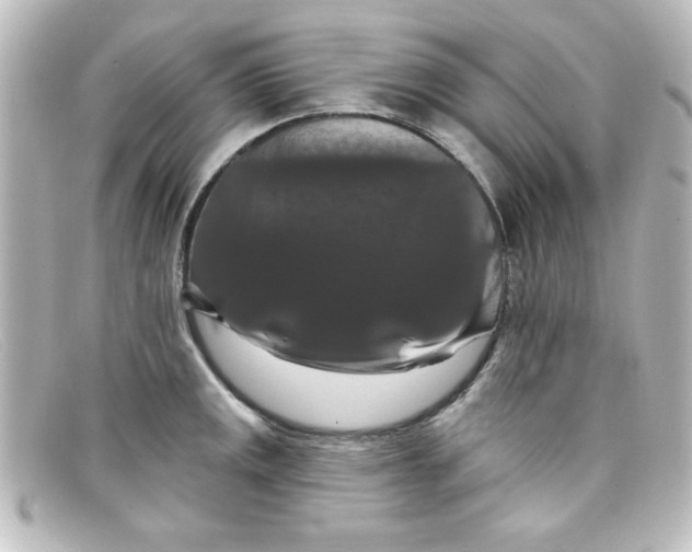 X0000098131141200805080953