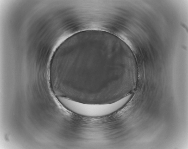 X0000098131144200805080953