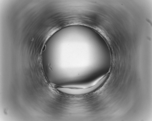 X0000098131145200805080953