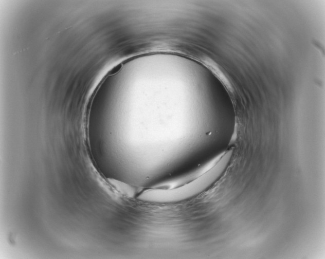 X0000098131148200805080953