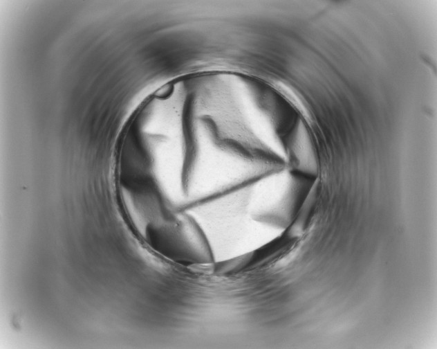 X0000098131149200805080953