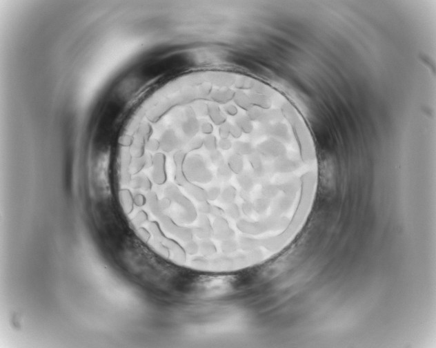 X0000098131150200805080953