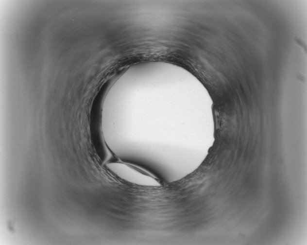 X0000098131153200805080952