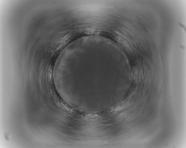 X0000098131154200805080952