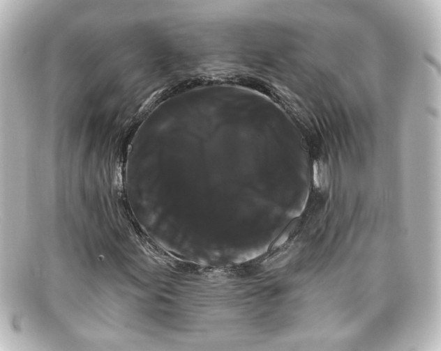 X0000098131155200805080952