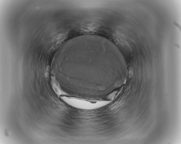 X0000098131156200805080952