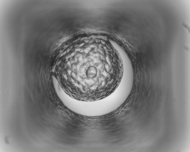X0000098131157200805080952