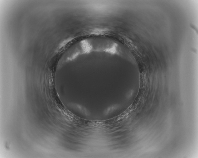 X0000098131158200805080952