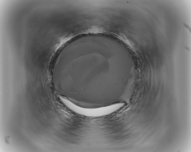 X0000098131160200805080952