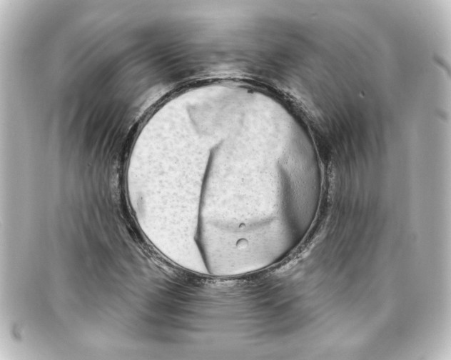 X0000098131162200805080952