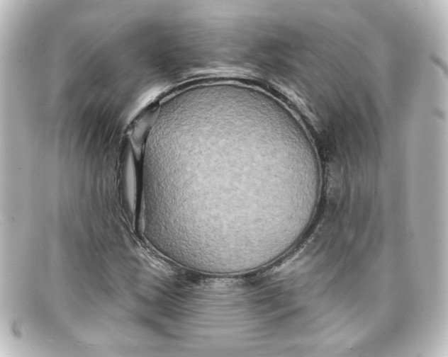 X0000098131163200805080952