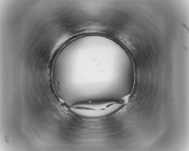 X0000098131164200805080952