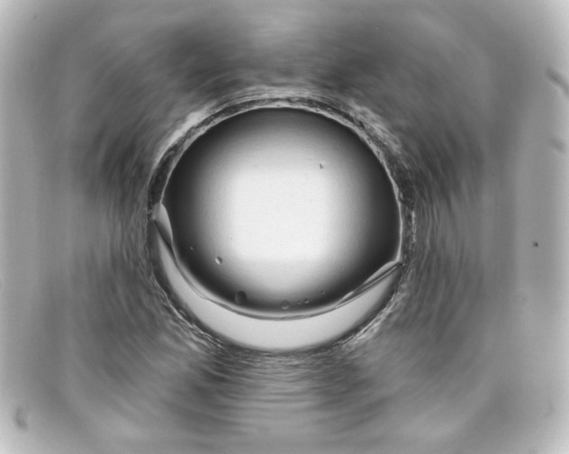 X0000098131165200805080952