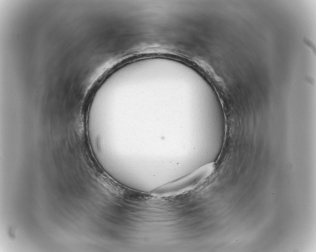 X0000098131167200805080952
