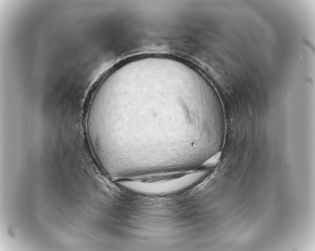 X0000098131168200805080952