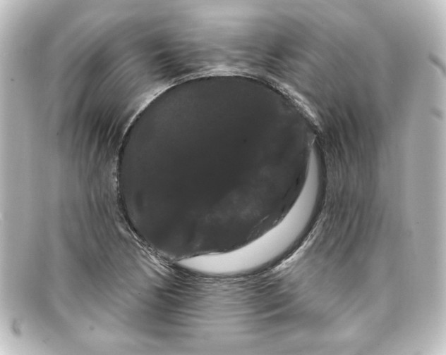 X0000098131170200805080952