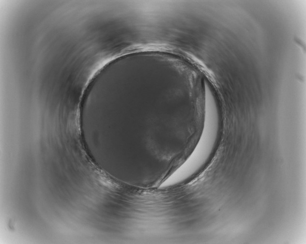 X0000098131174200805080952