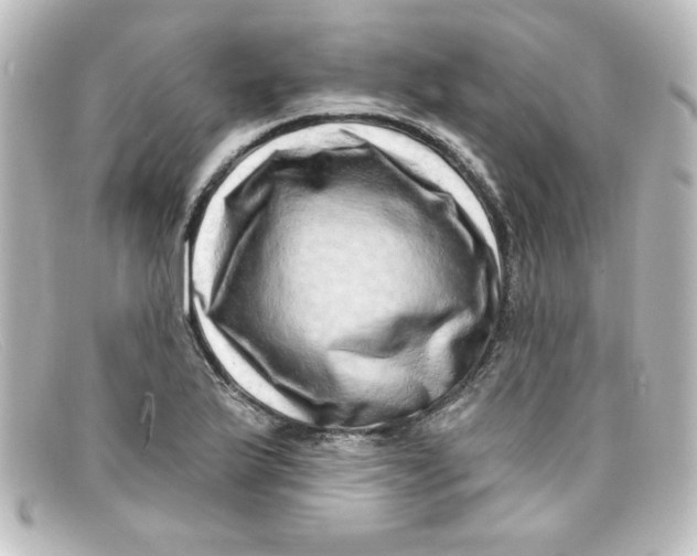 X0000098131175200805080952