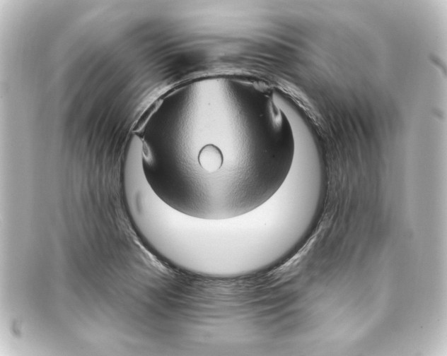 X0000098131177200805080952