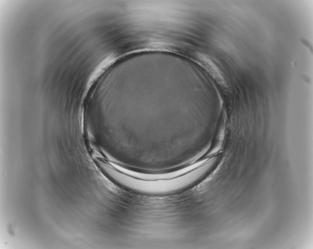 X0000098131180200805080952