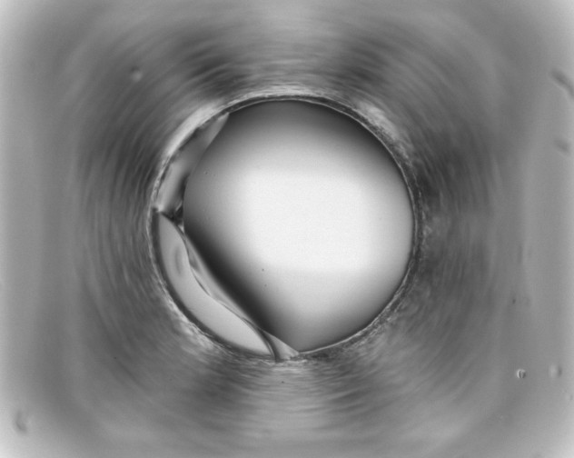 X0000098131181200805080952